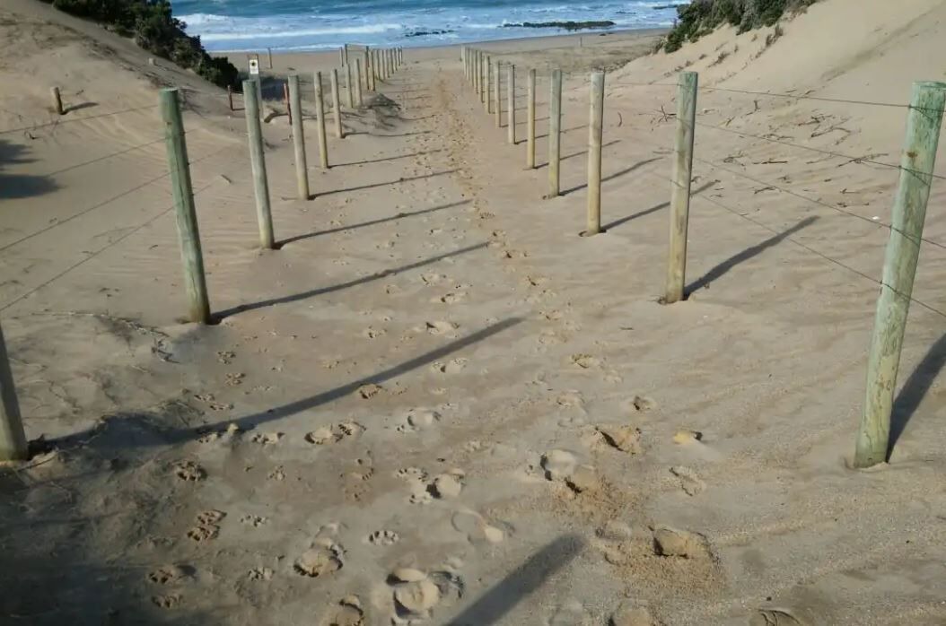 Photo of Others in St. Andrews Beach