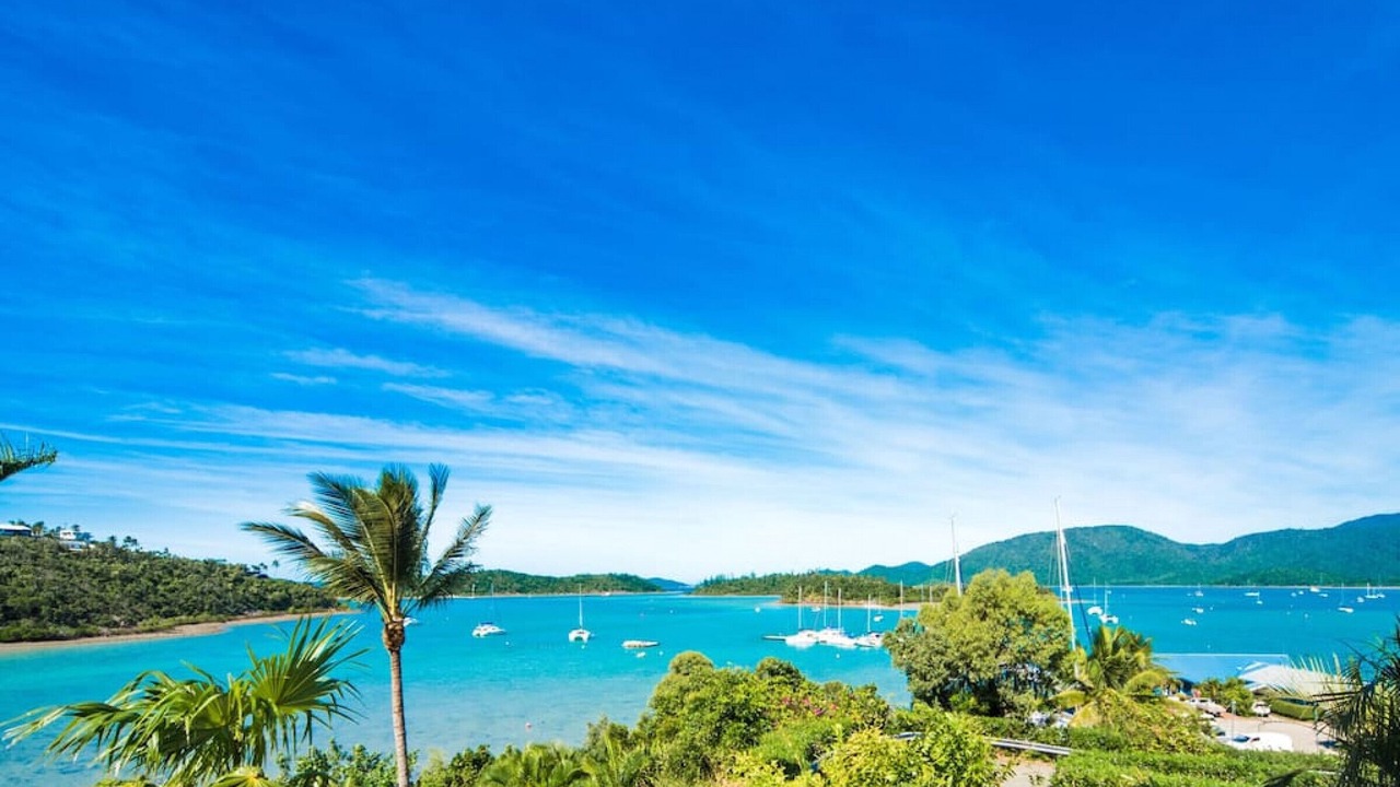 Photo of Others in Shute Harbour