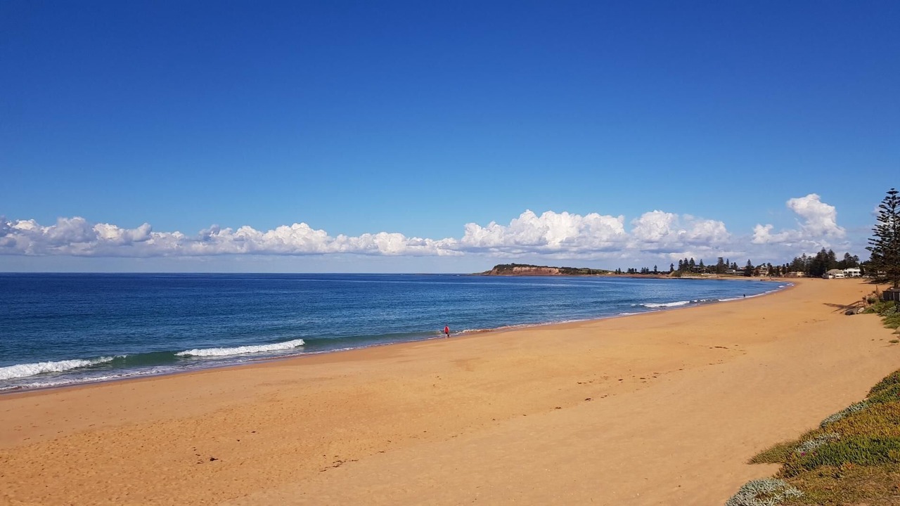 Photo of Others in Narrabeen
