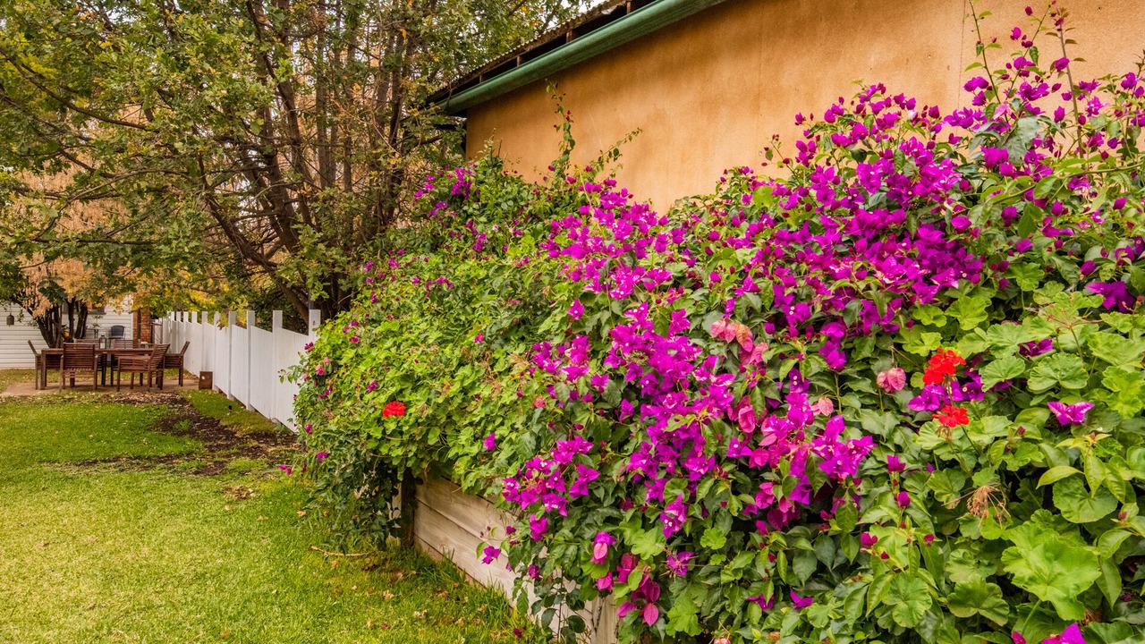 Photo of Outdoor in Narrandera