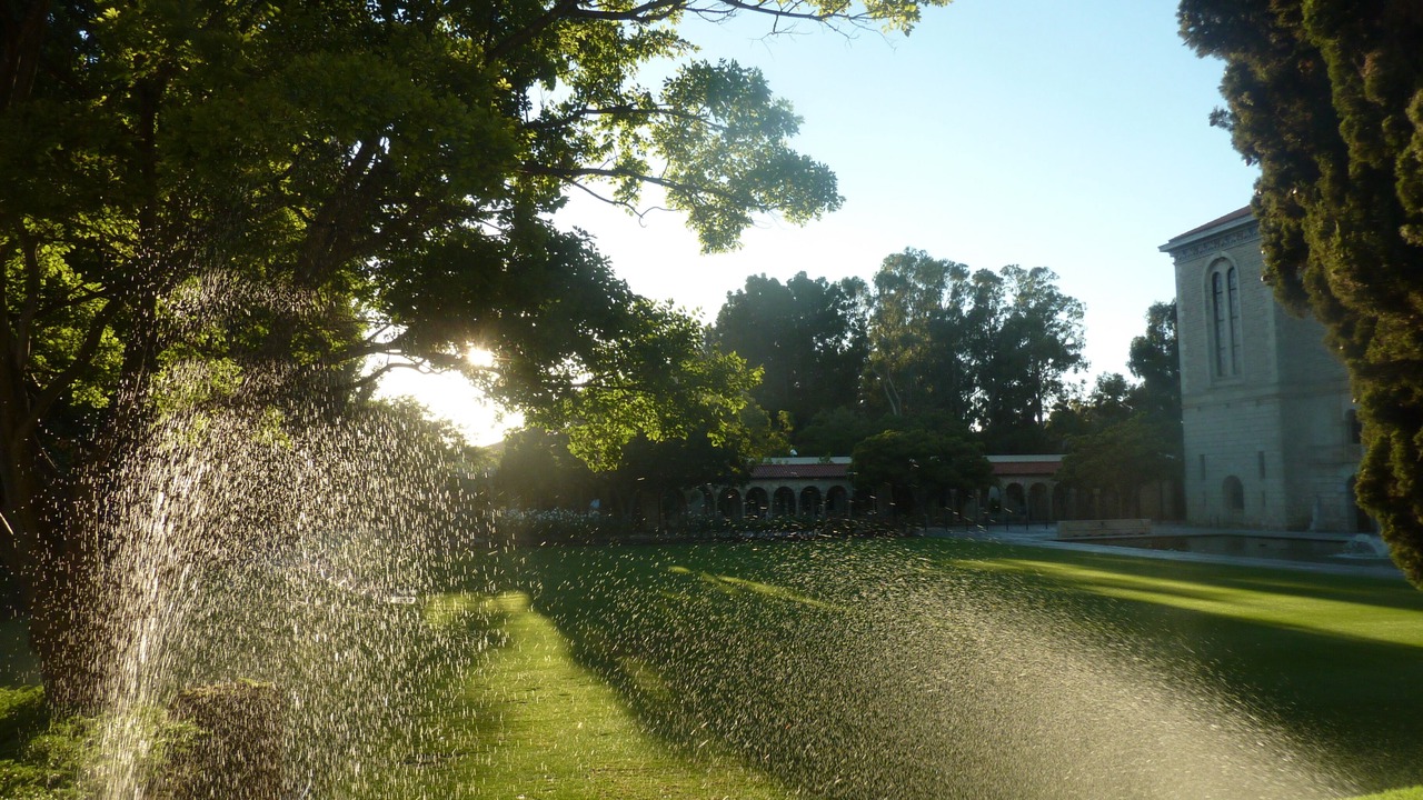 Photo of Outdoor in Advancetown