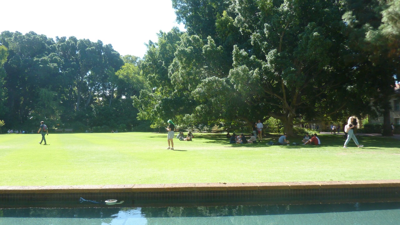 Photo of Others in Advancetown