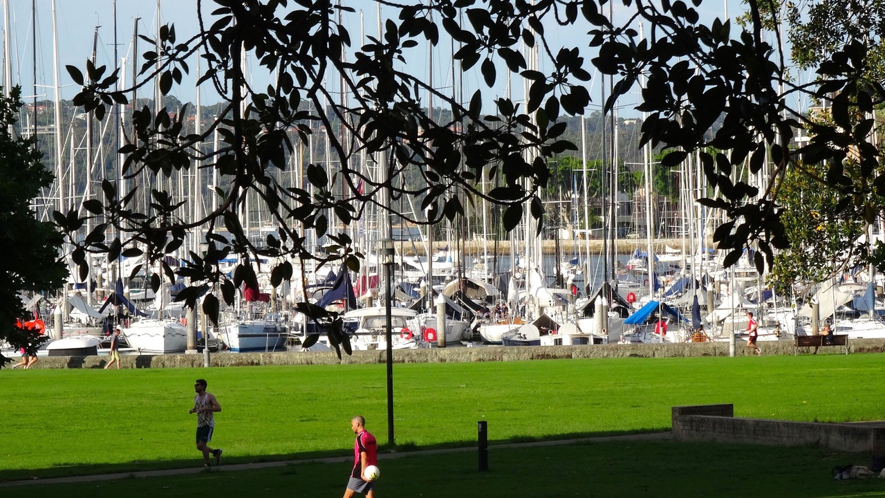 Photo of Others in Darling Point