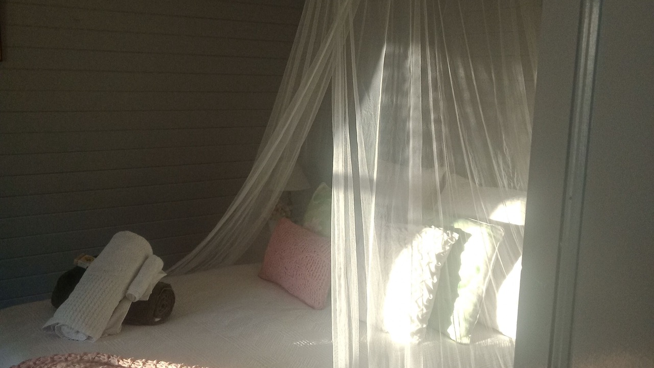 Photo of Bedroom in Tallowwood Ridge