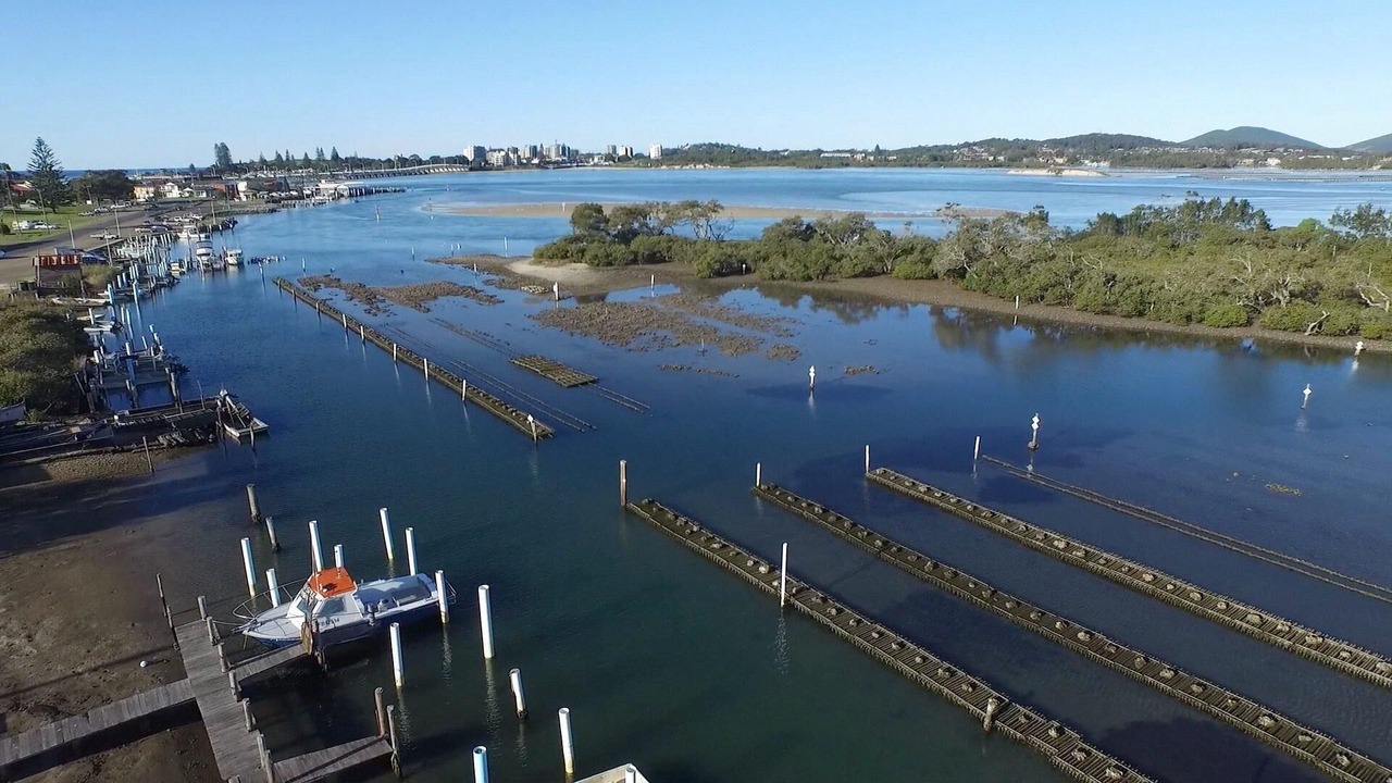 Photo of Others in Tuncurry