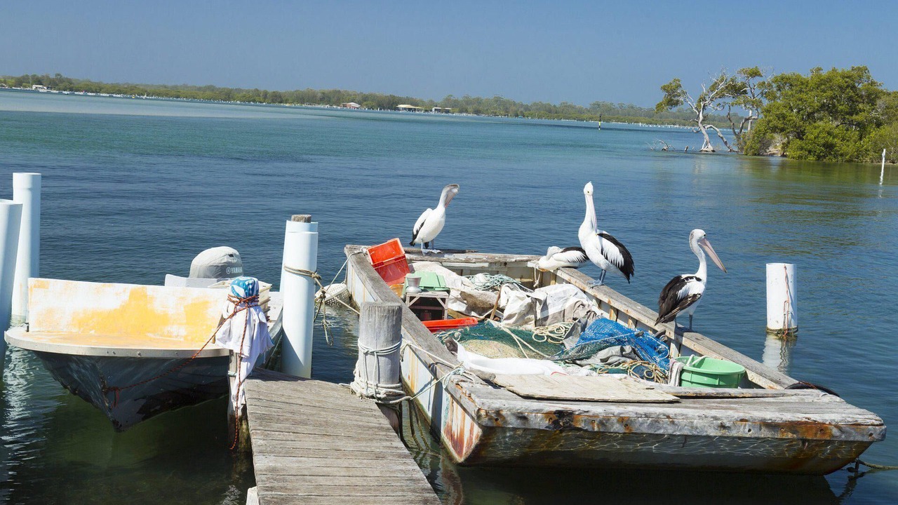 Photo of Outdoor in Tuncurry