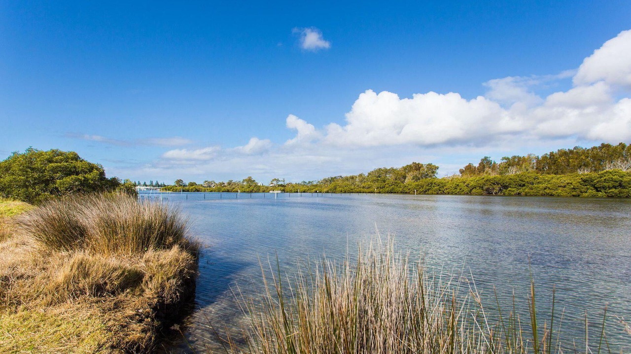 Photo of Others in Tuncurry