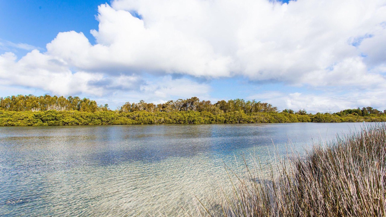 Photo of Others in Tuncurry