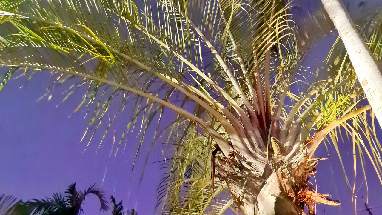 Photo of Others in Cable Beach