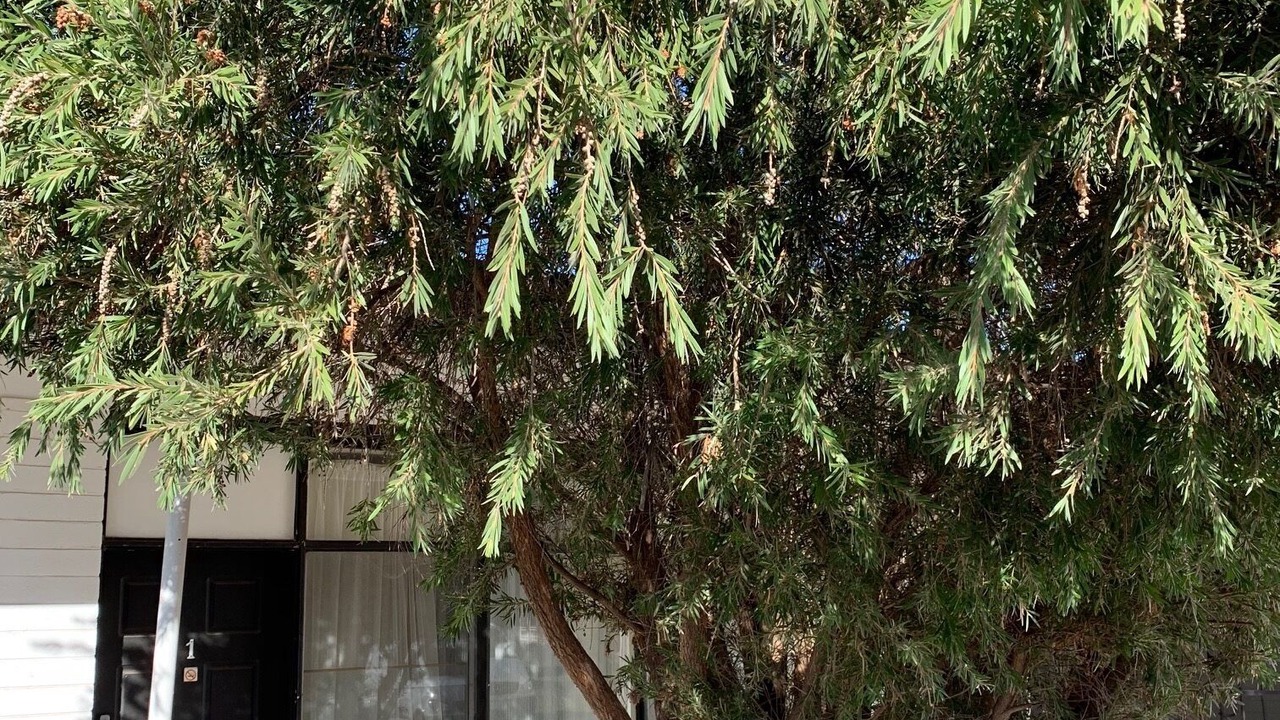 Photo of Outdoor in Strathmerton