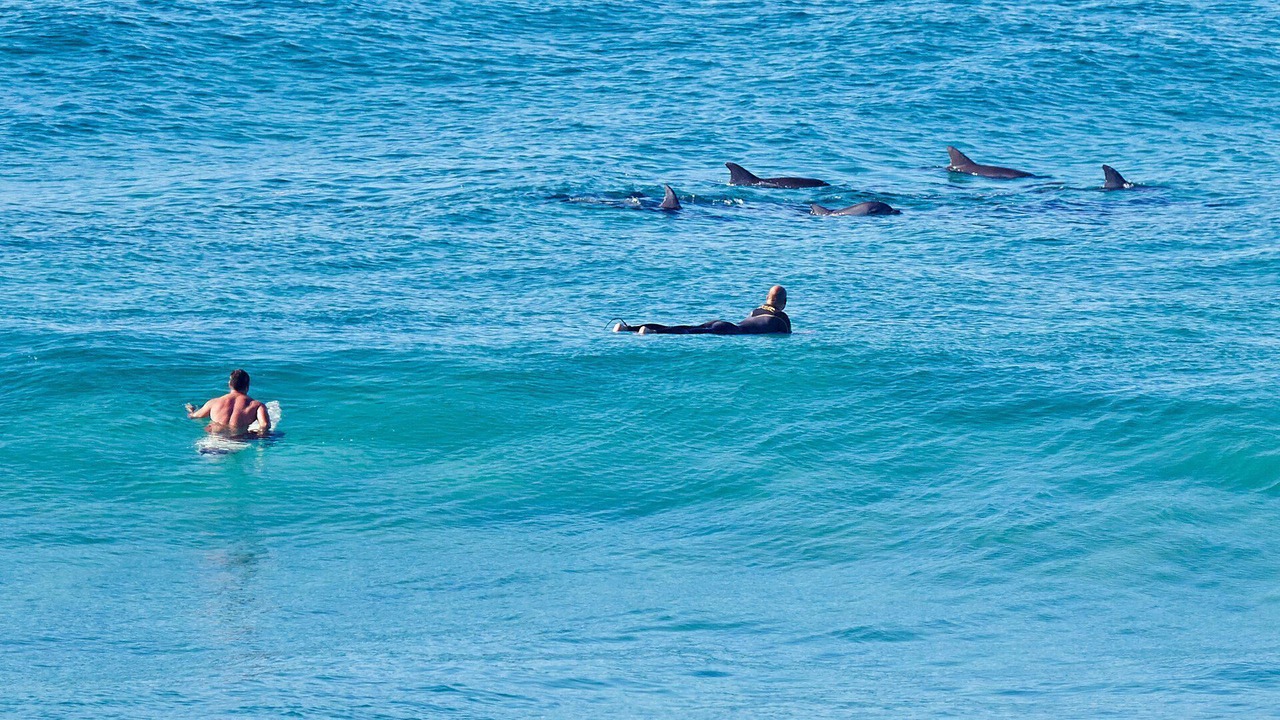 Photo of Others in Palm Beach