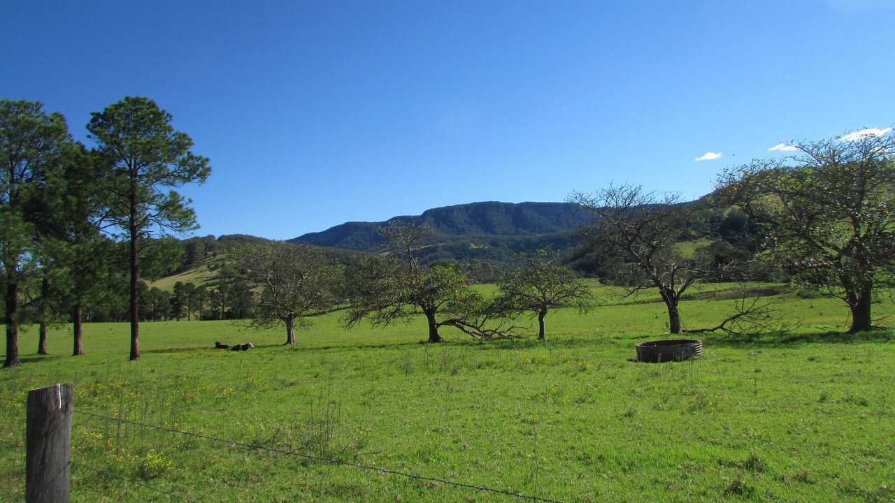 Photo of Others in Marshall Mount