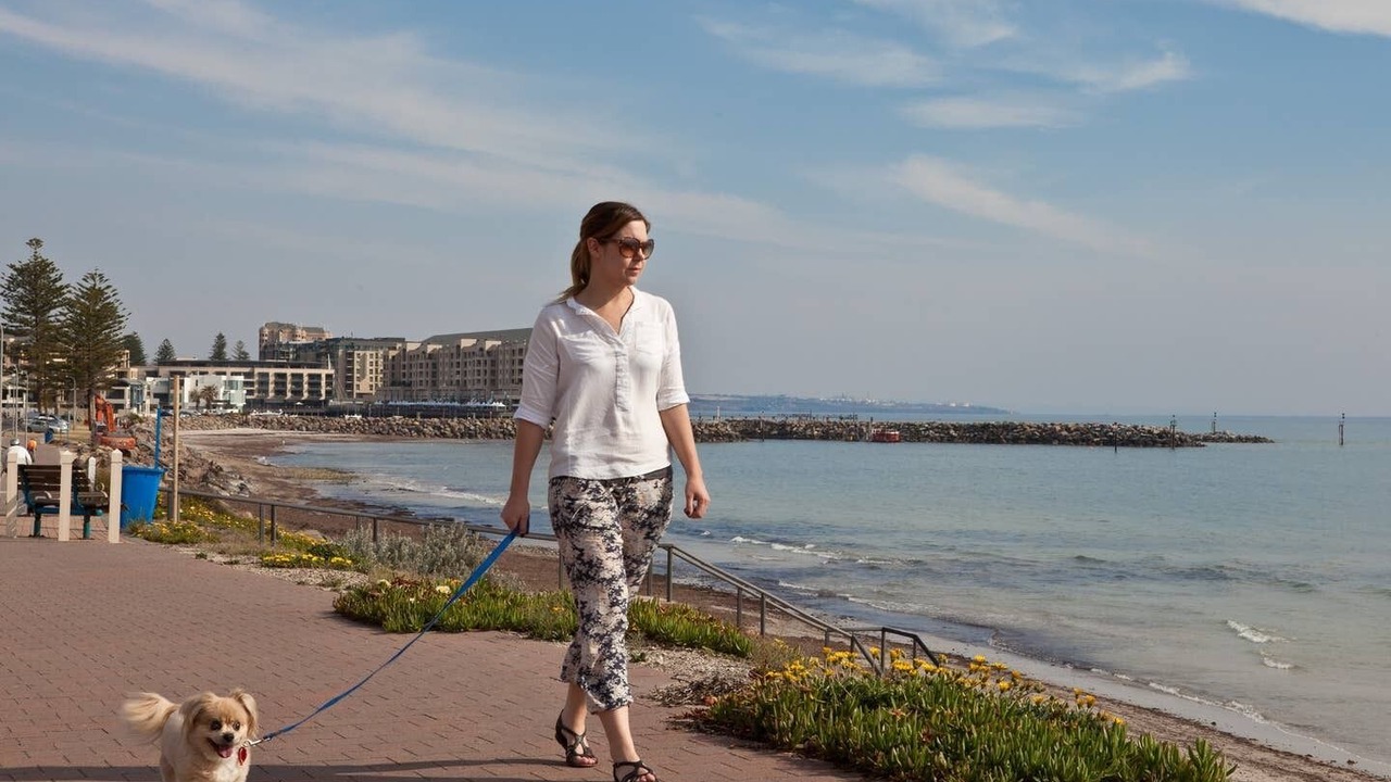 Photo of Others in Glenelg North