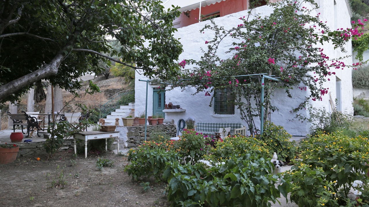 Photo of Outdoor in Apikia
