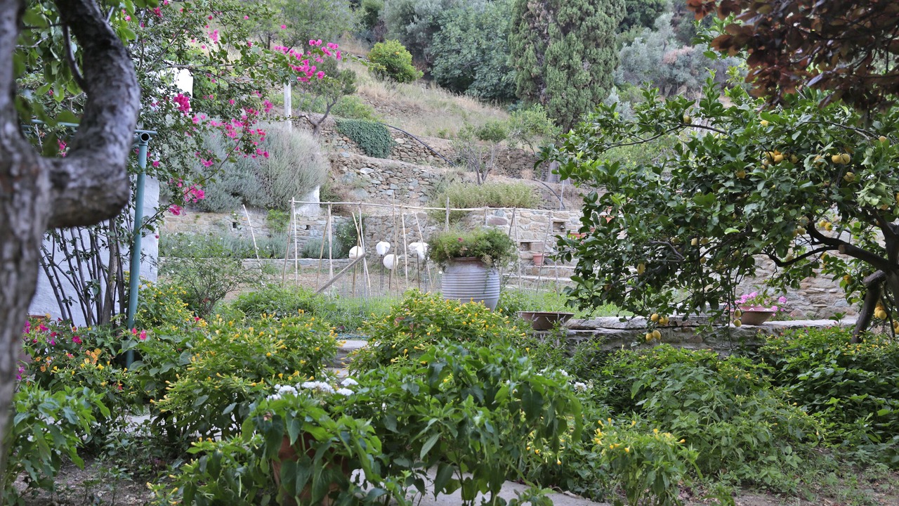 Photo of Outdoor in Apikia