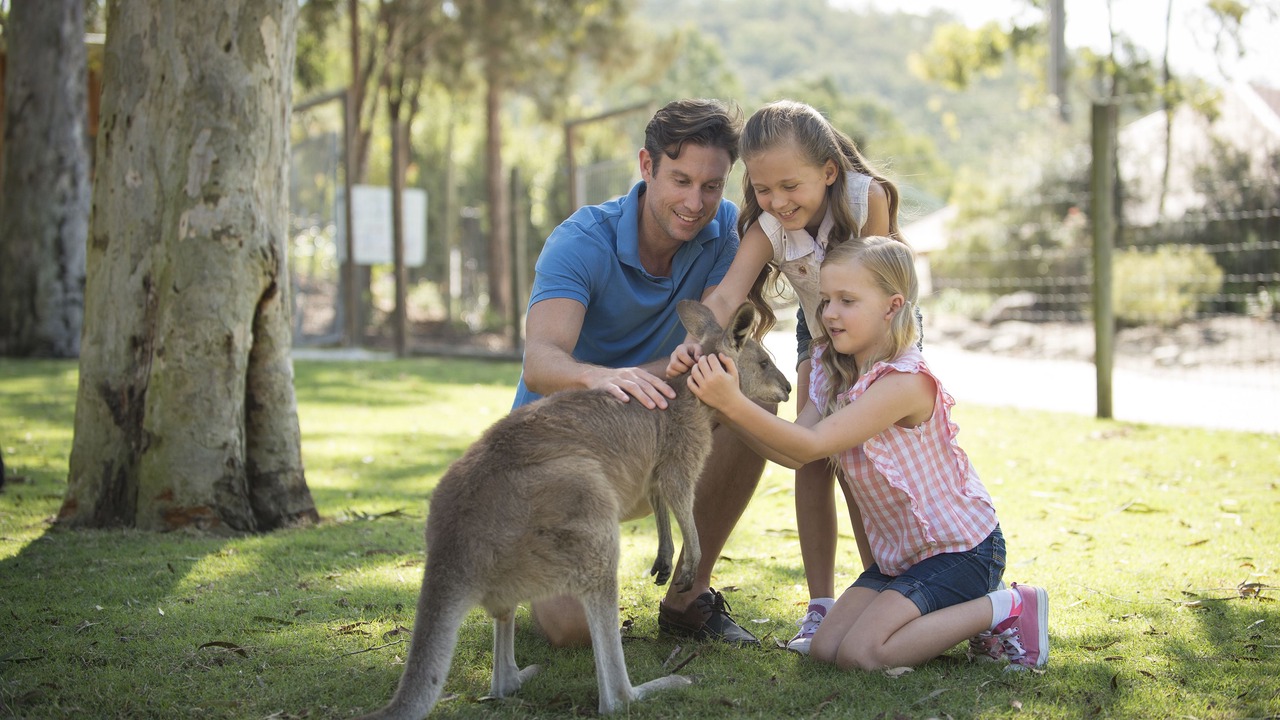 Photo of Others in Oxenford