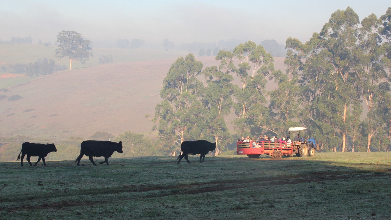 Photo of Others in Pemberton