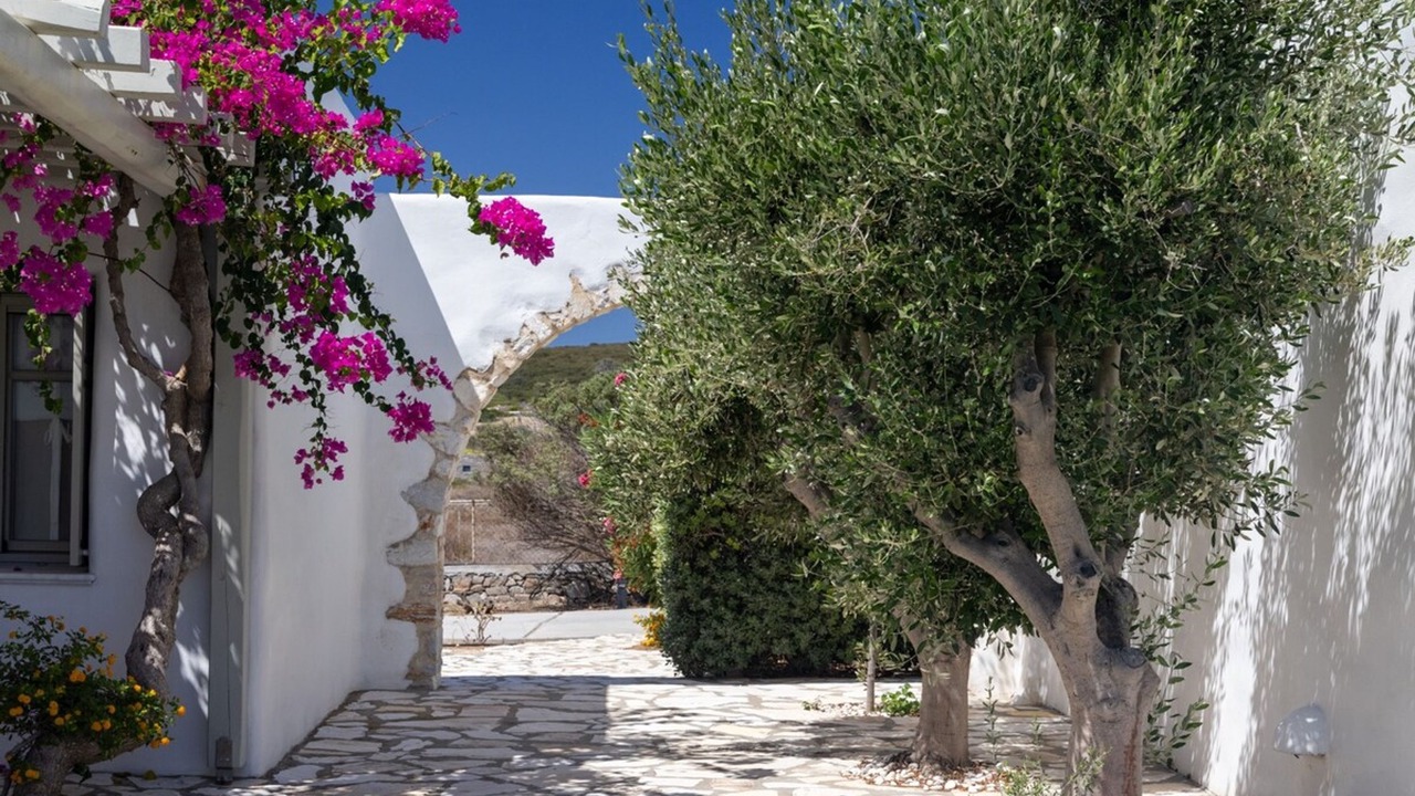 Photo of Outdoor in Santa Maria