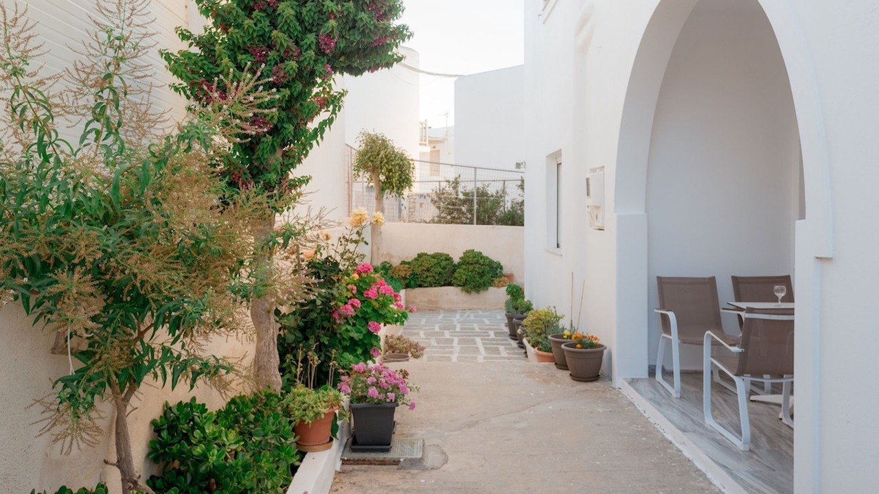 Photo of Outdoor in Naousa