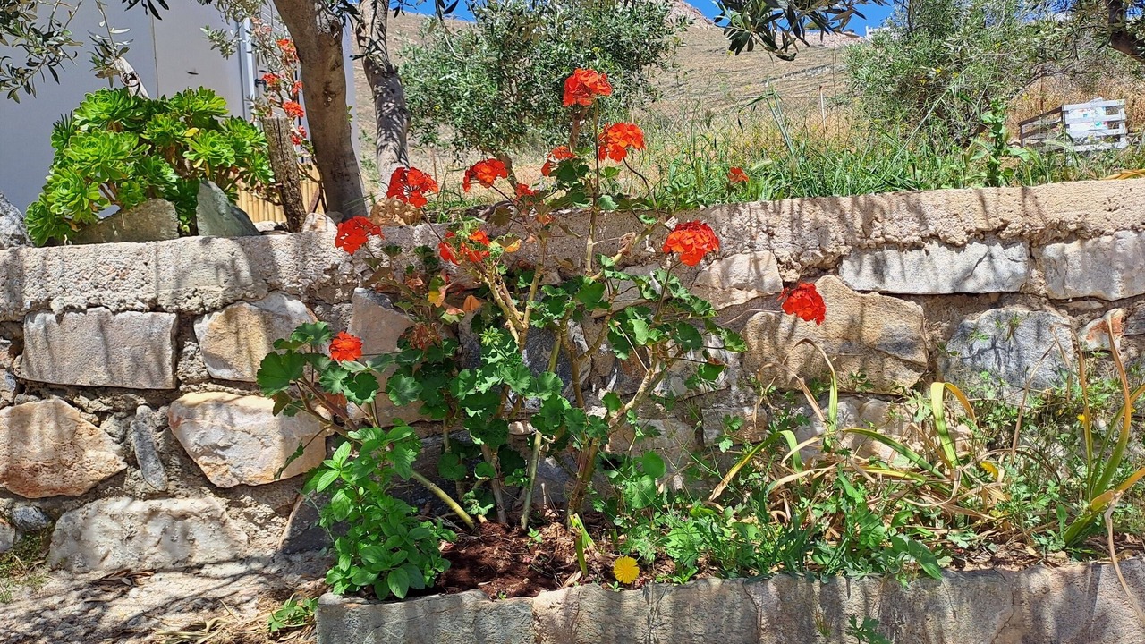 Photo of Outdoor in Megas Gialos