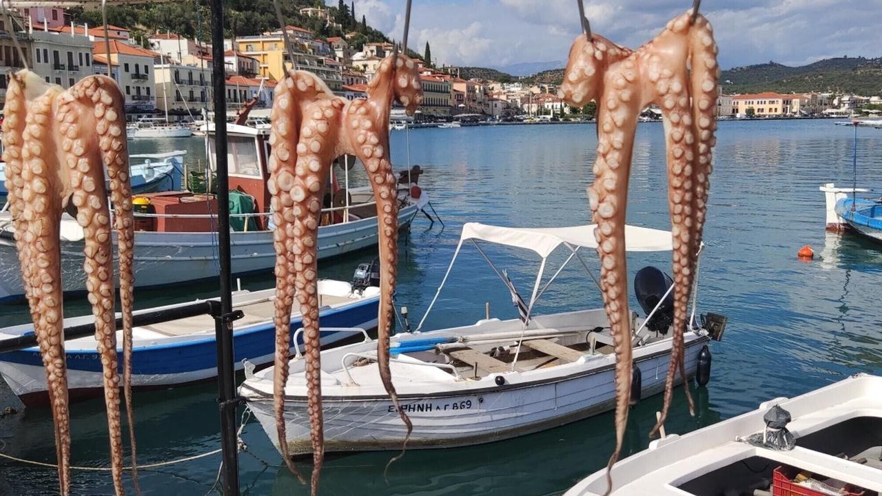 Photo of Others in Pylos-Nestoras