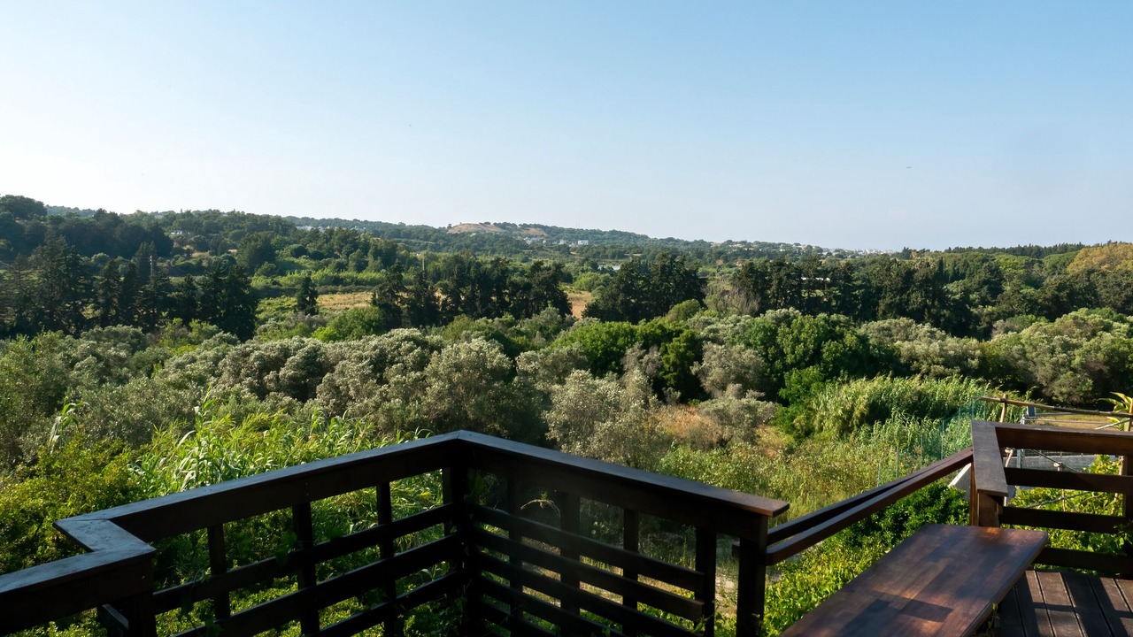 Photo of Outdoor in Kallithea