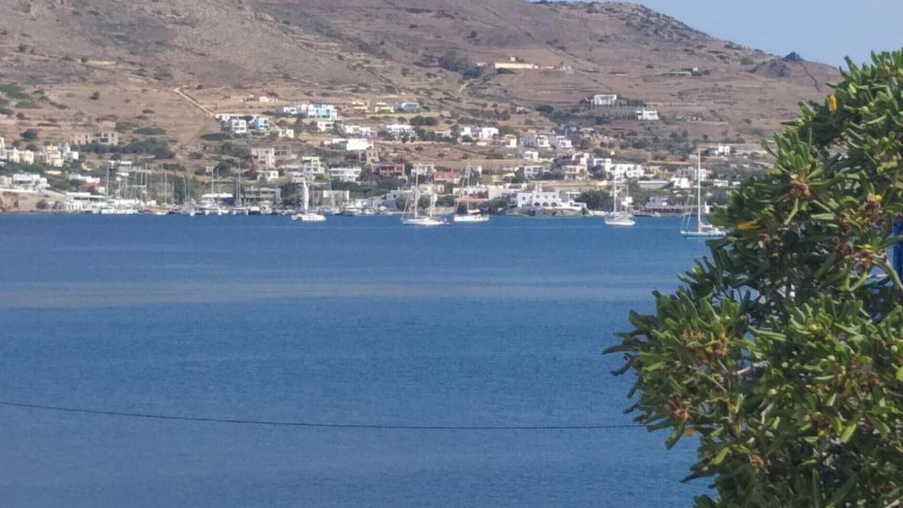 Photo of Others in Posidonia