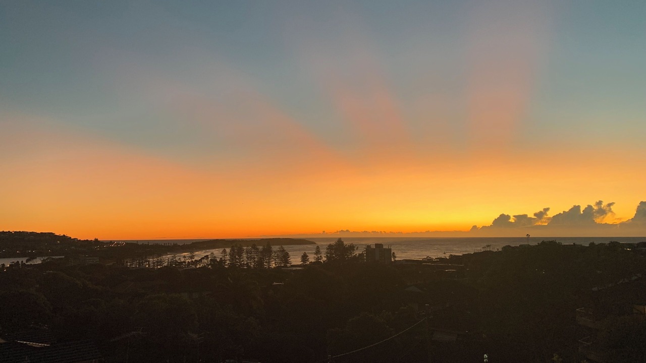 Photo of Others in Dee Why