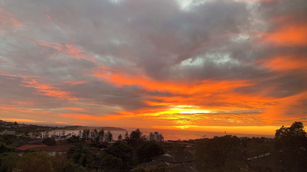 Photo of Others in Dee Why