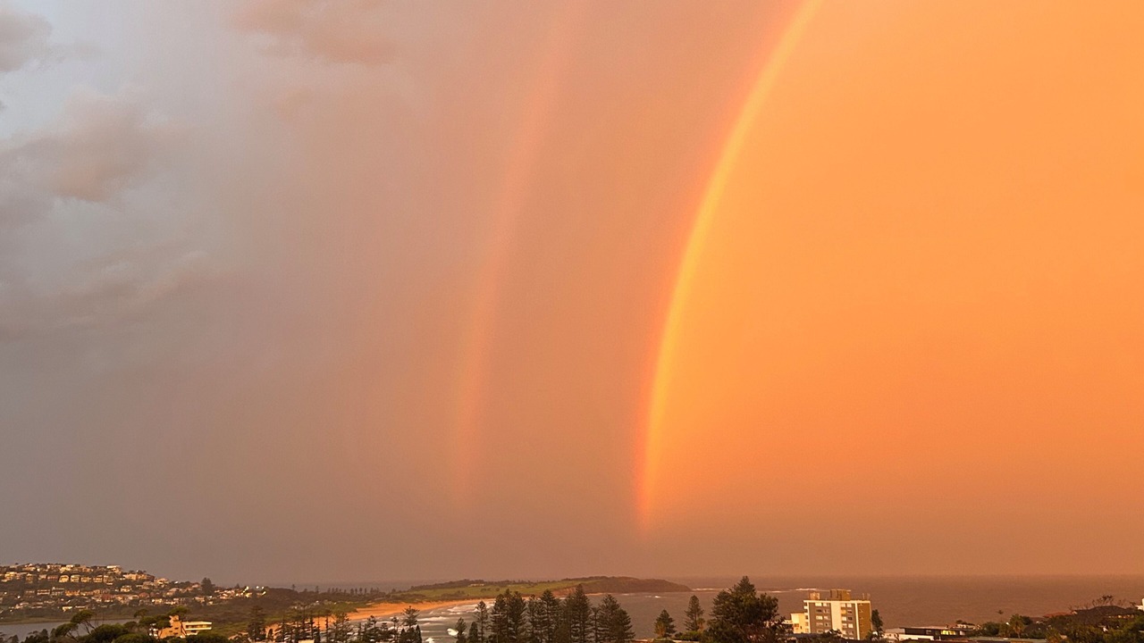 Photo of Others in Dee Why