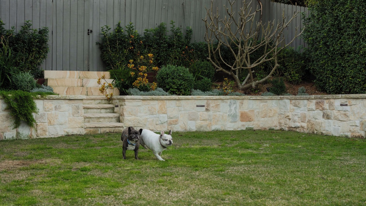 Photo of Outdoor in Dee Why