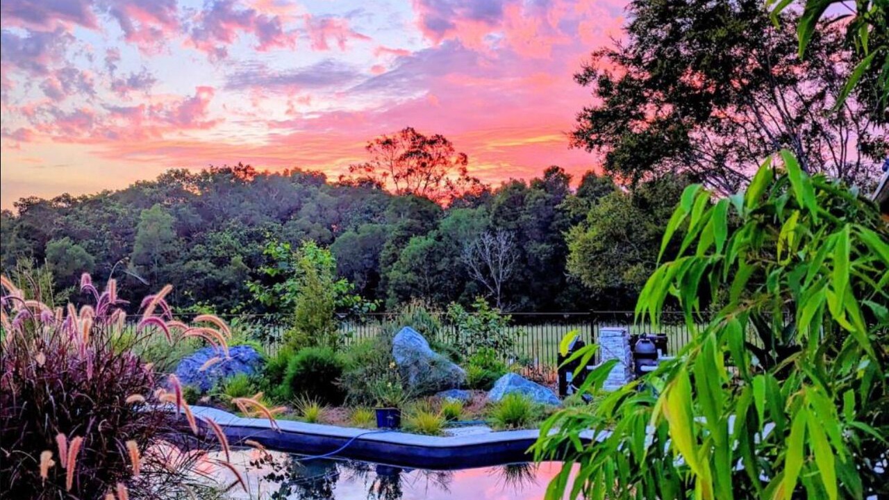 Photo of Outdoor in Bunyah