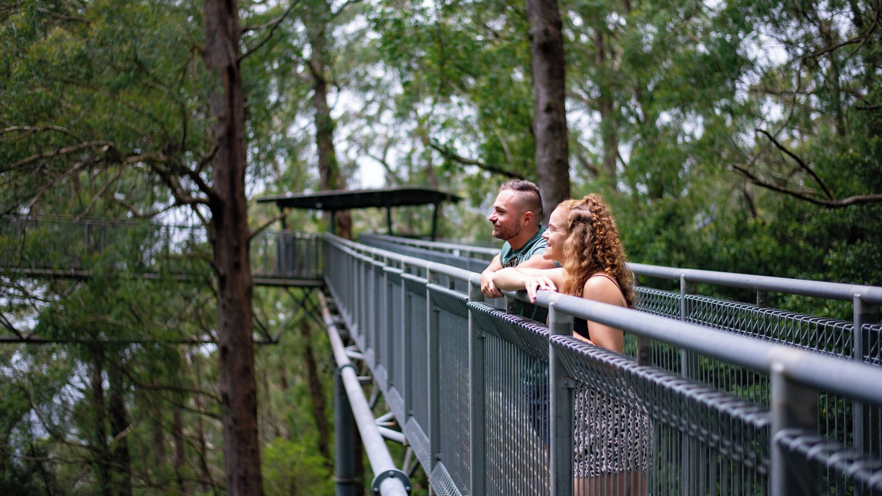 Photo of Others in Jamberoo