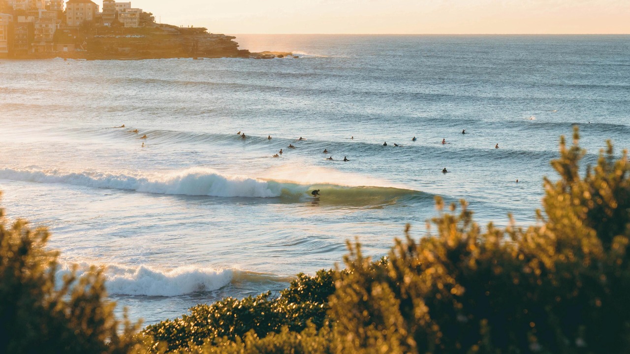 Photo of Others in Bondi