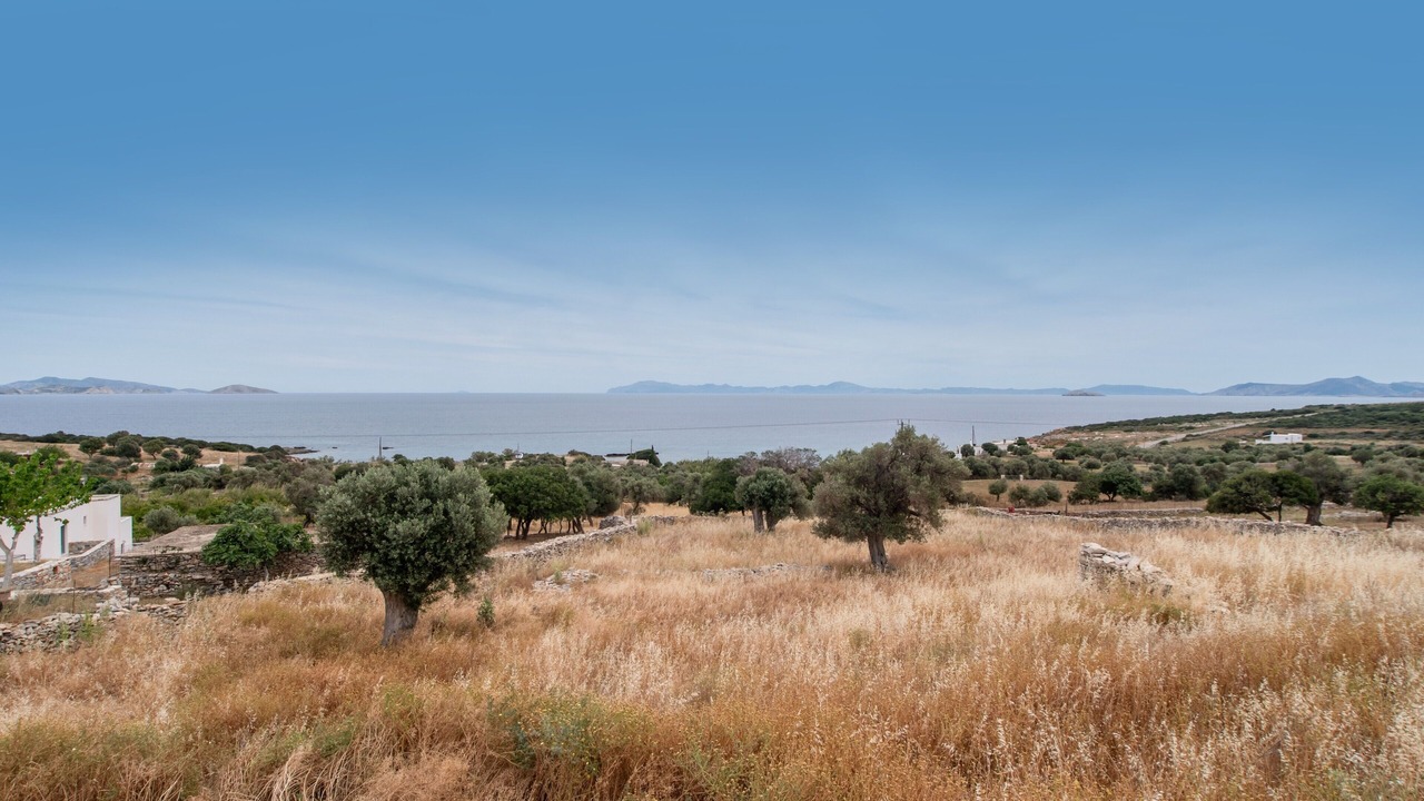 Photo of Others in Naxos