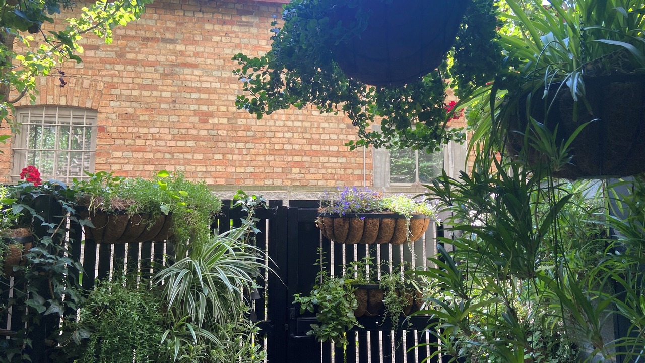 Photo of Outdoor in Coburg