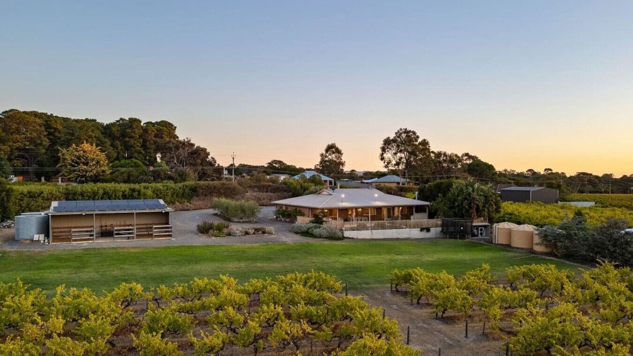 Photo of Outdoor in McLaren Flat
