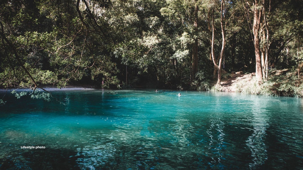 Photo of Others in Bellingen