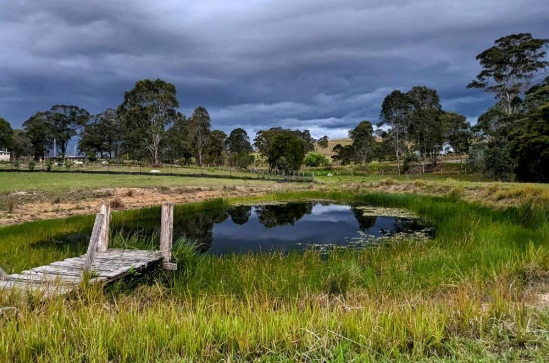 Photo of Others in Bunyah