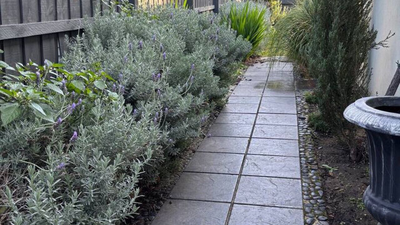 Photo of Outdoor in Highton