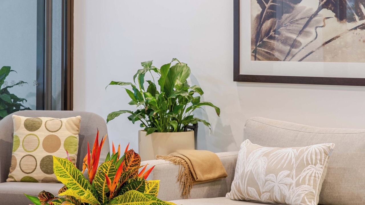 Photo of Livingroom in Craiglie