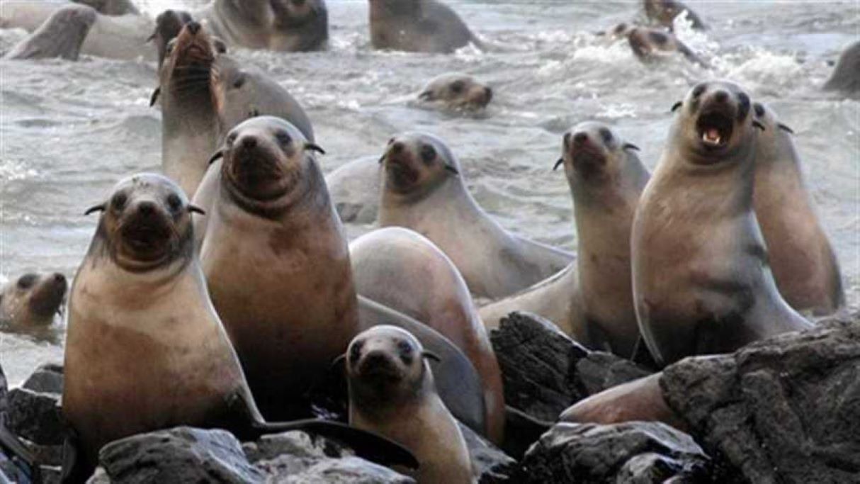 Photo of Others in San Remo