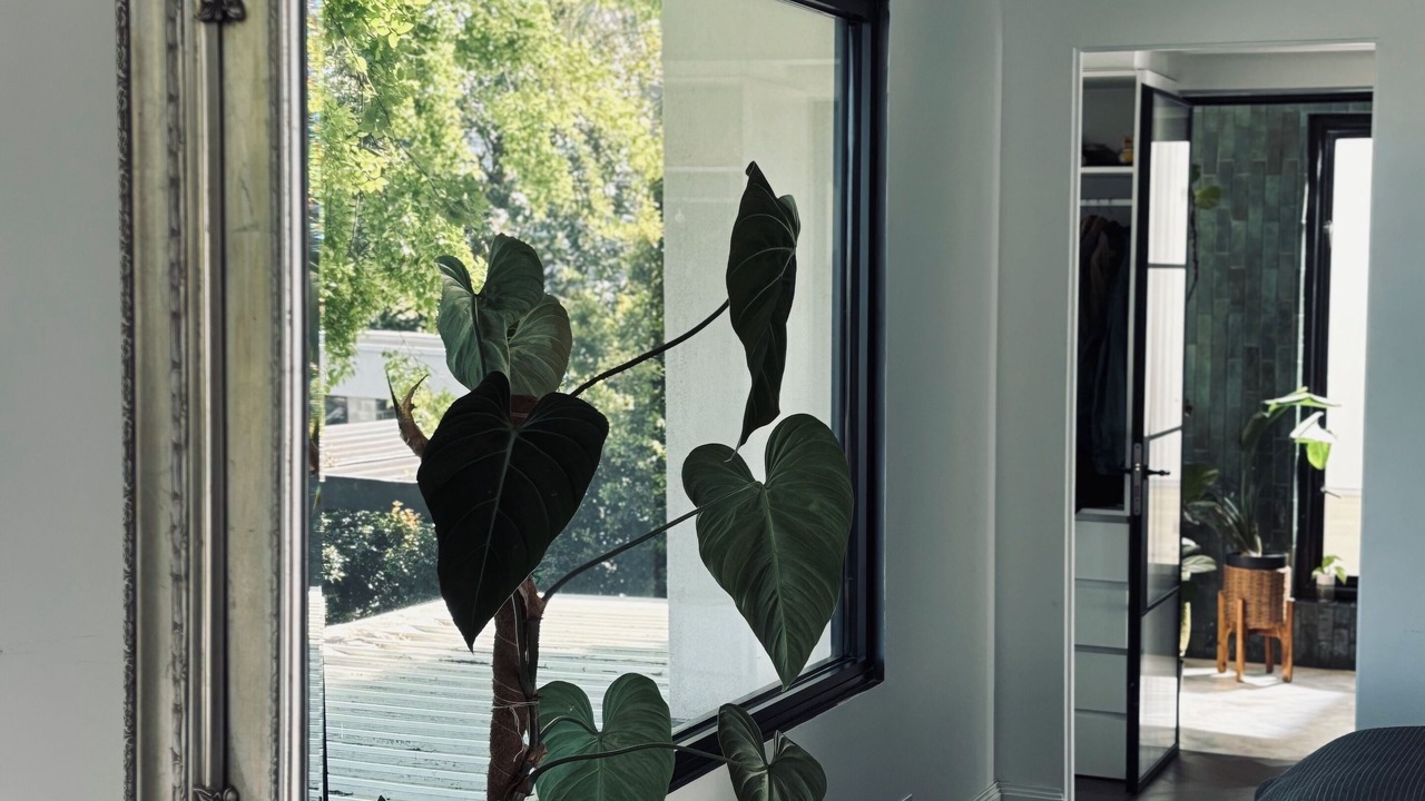 Photo of Bedroom in Balmain