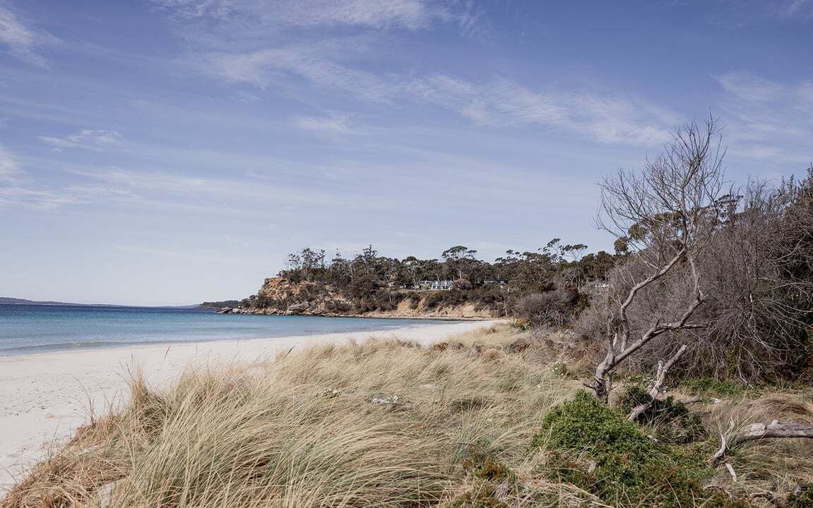 Photo of Others in Spring Beach