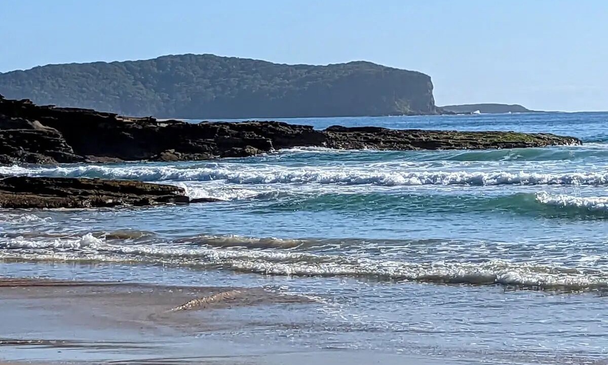 Photo of Others in South Durras