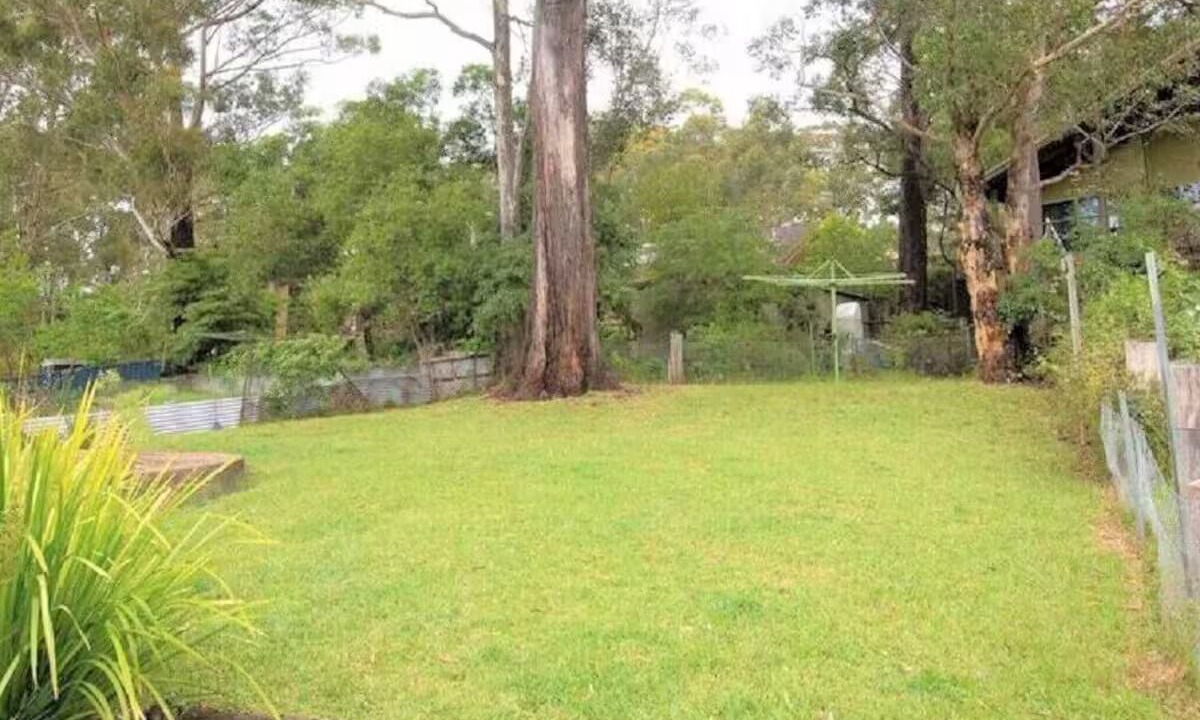 Photo of Outdoor in South Durras