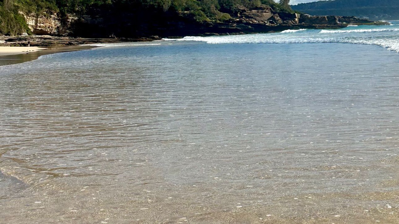 Photo of Others in South Durras