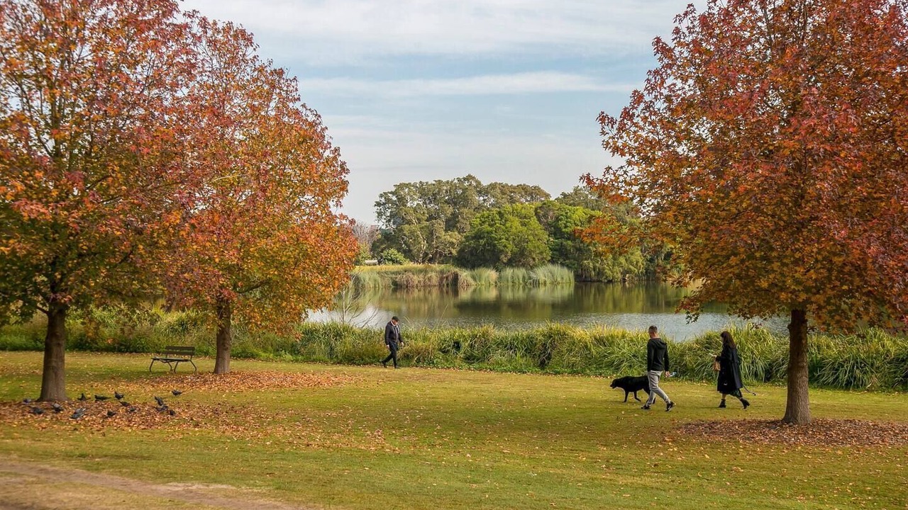 Photo of Others in Randwick