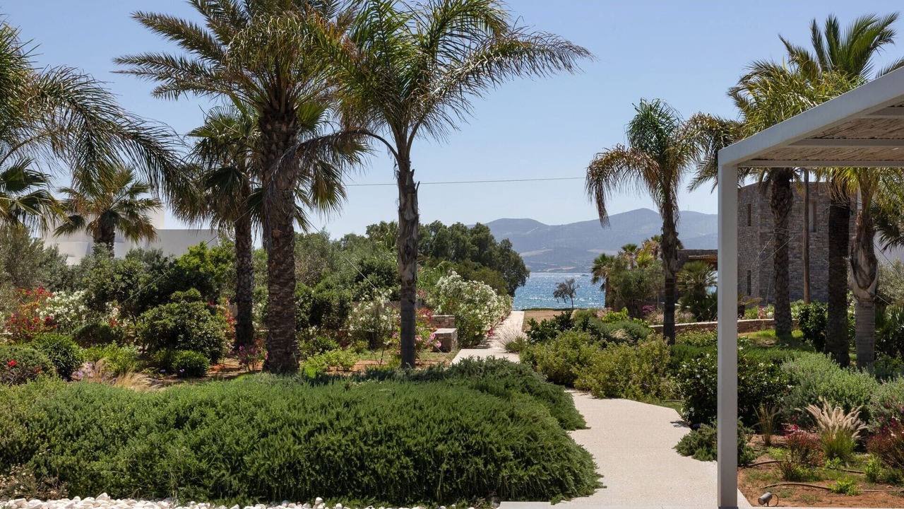 Photo of Others in Paros