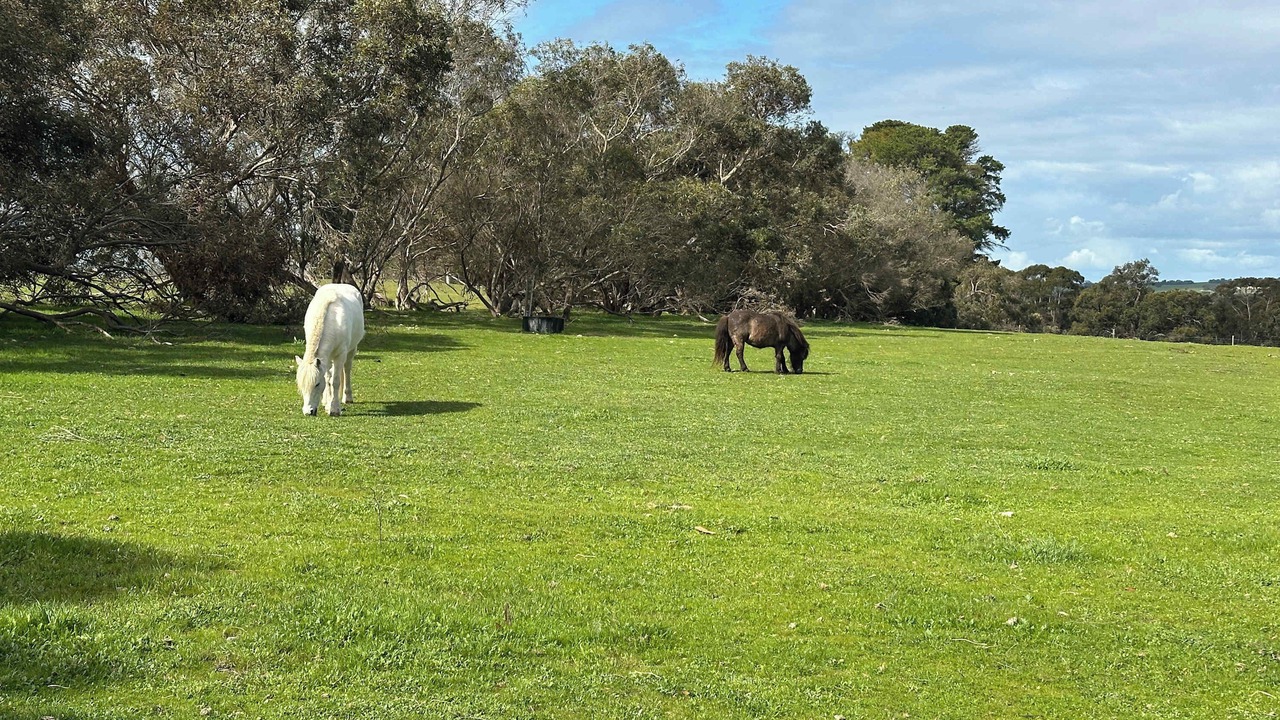 Photo of Others in Willalooka